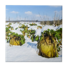 Azulejo De Cerâmica Praça de inverno na neve - Cerâmica Personalizada
