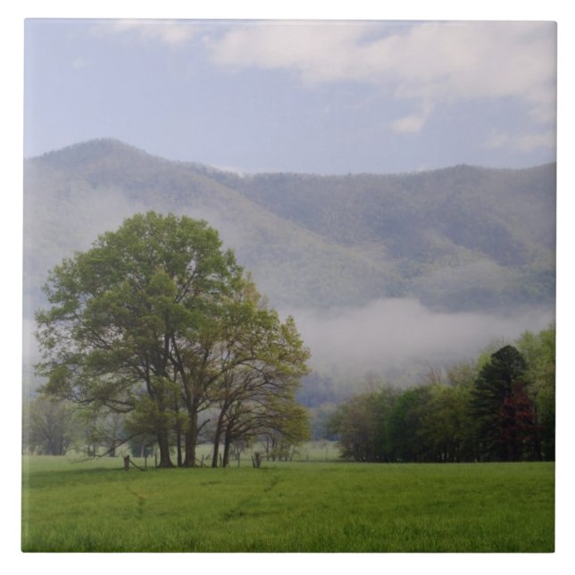Azulejo De Cerâmica Prado enevoado e Rich Mountain, Cades Cove, (Frente)