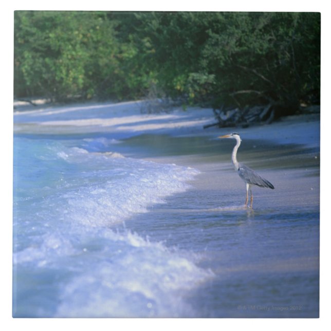 Azulejo De Cerâmica Praia 2 (Frente)