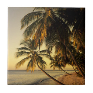 Azulejo De Cerâmica Praia ao pôr do sol, Trinidad