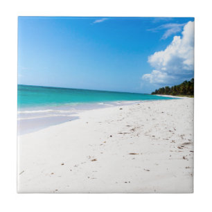 Azulejo De Cerâmica praia de Isla Saona no Caribe