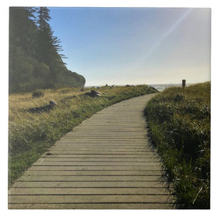 Azulejo De Cerâmica Praia de Waikiki, Desilusão de Cabo, Washington