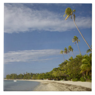 Azulejo De Cerâmica Praia e palmeiras, Plantation Island Resort