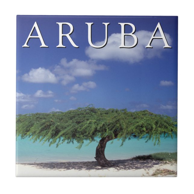 Azulejo De Cerâmica Praia Eagle | Caribe, Aruba (Frente)
