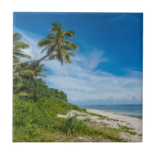 Azulejo De Cerâmica Praia Kolovai com Palmeiras