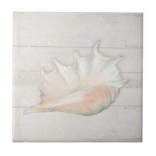 Azulejo De Cerâmica Praia Nautic Conch de Seashell Tropical Madeira Br