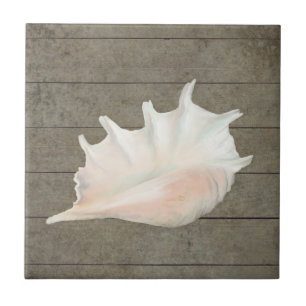 Azulejo De Cerâmica Praia Nautic Seashell Conch Madeira Tropical Islan