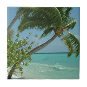 Azulejo De Cerâmica Praia Tropical Areia Sol Água Ondas Surf Arte