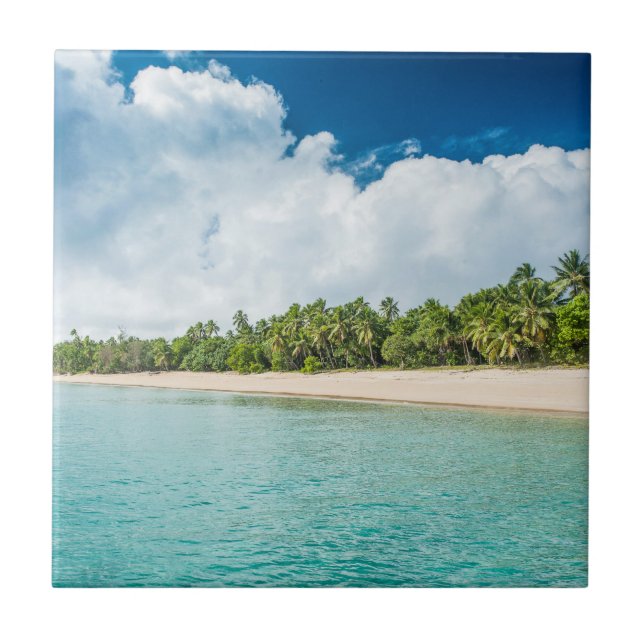 Azulejo De Cerâmica Praia Tropical de Palm Fringed (Frente)