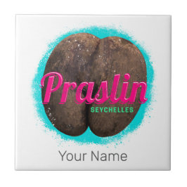 Azulejo De Cerâmica Praslin Seychelles Oceano Índico Vintage Souvenir