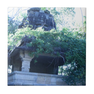 Azulejo De Cerâmica Prédio da selva