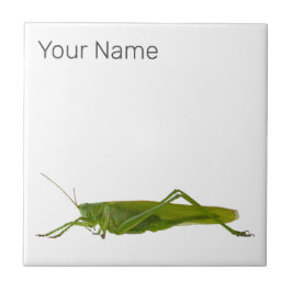 Azulejo De Cerâmica Presente animal de guincho ou de guincho retro de