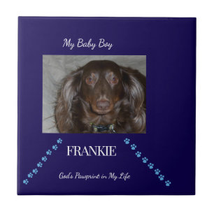 Azulejo De Cerâmica Presente de Bênção de Pegada de Pata Equilibrada