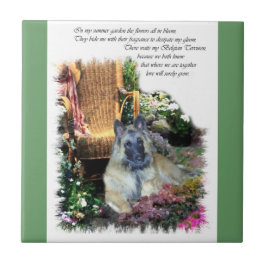 Azulejo De Cerâmica Presentes de Arte Belgas em Tervuren