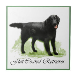 Azulejo De Cerâmica Presentes De Arte De Retriever De Revestimento Sim