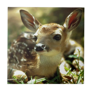 Azulejo De Cerâmica Presentes de Baby Deer