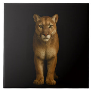 Azulejo De Cerâmica Preto 4 Luxe Telha com Silent Prime Puma