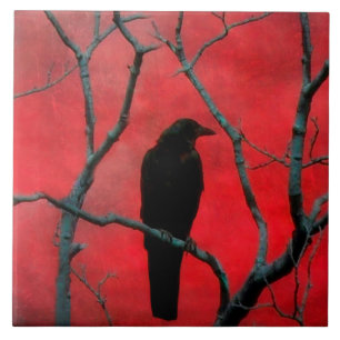 Azulejo De Cerâmica Preto E Vermelho