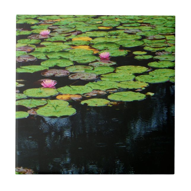 Azulejo De Cerâmica preto no lótus rosa (Frente)