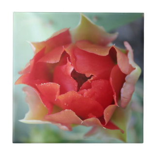 Azulejo De Cerâmica Primavera