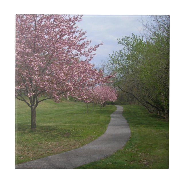 Azulejo De Cerâmica Primavera!Azulejo cerâmico (Frente)