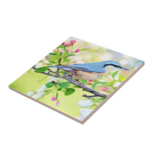 Azulejo De Cerâmica Primavera Bird - Lindo