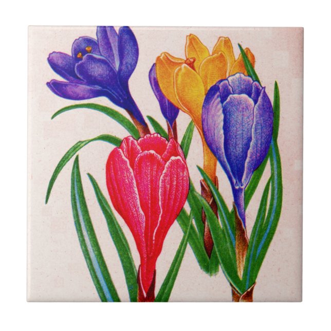 Azulejo De Cerâmica primavera crocus (Frente)
