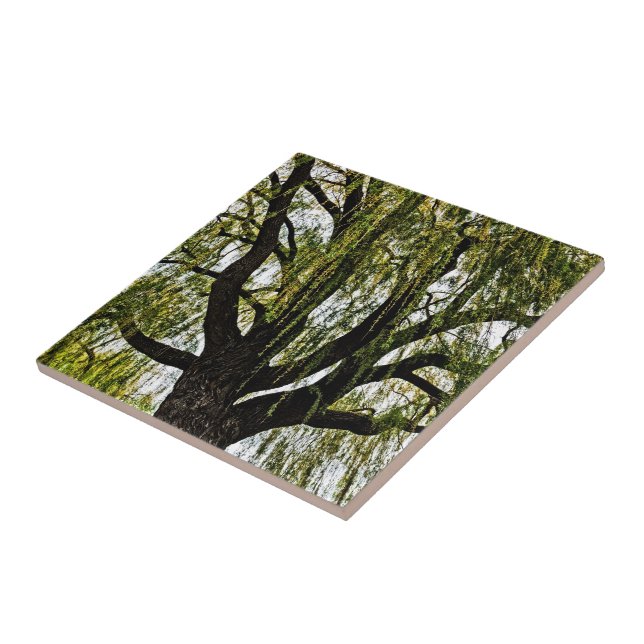 Azulejo De Cerâmica primavera espera silenciada (Lateral)