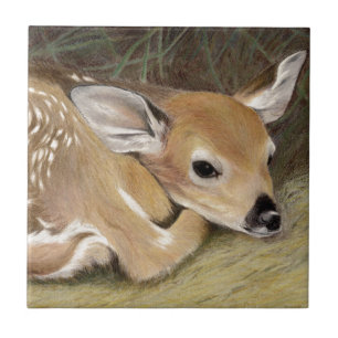 Azulejo De Cerâmica Primavera Fawn