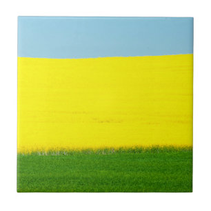 Azulejo De Cerâmica Primavera Landscape Meadow