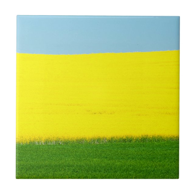 Azulejo De Cerâmica Primavera Landscape Meadow (Frente)