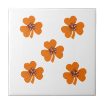 Primavera laranja, coberturas laranja, para cozinh