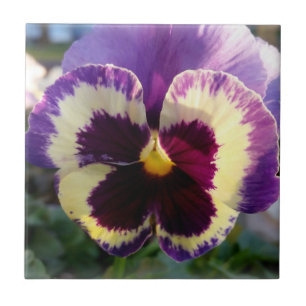 Azulejo De Cerâmica primavera Pansy colorido