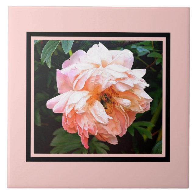 Azulejo De Cerâmica Primavera romântico Peony em Pale Peach (Frente)
