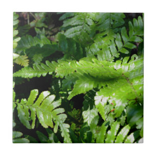Azulejo De Cerâmica Primavera Verde-Ferns