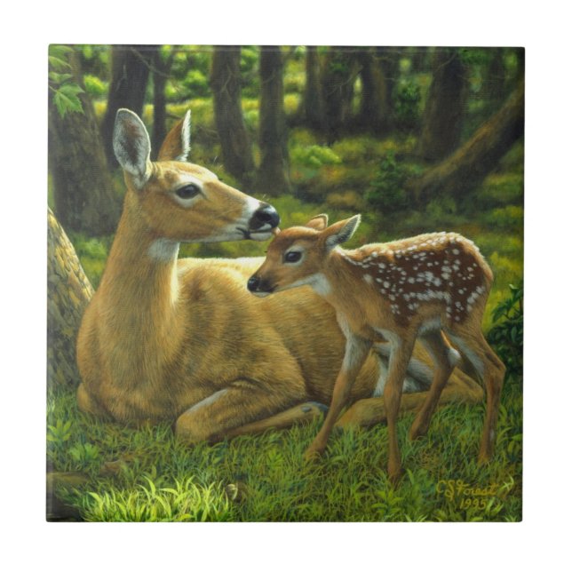Azulejo De Cerâmica Primavera Whitetail Fawn e Madre Deer (Frente)