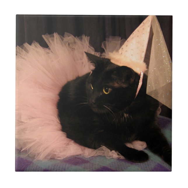 Azulejo De Cerâmica Princesa Mirra (Frente)