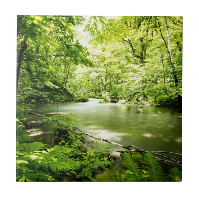 Azulejo De Cerâmica Profundamente na floresta (Frente)