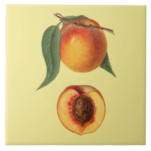 Azulejo De Cerâmica Prunus Persica Peach~Botânica ~Cozinha ~Qualquer C
