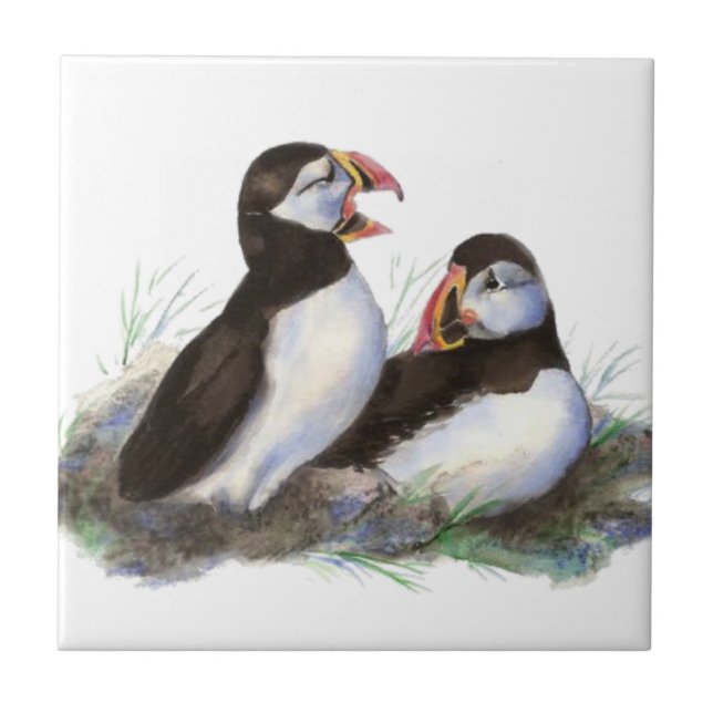 Azulejo De Cerâmica Puffin de Pássaro de Cachorro (Frente)