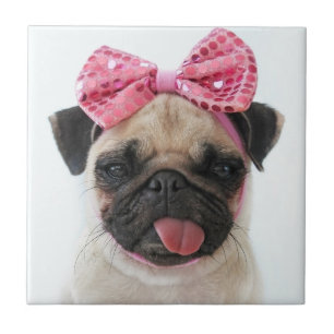 Azulejo De Cerâmica Pug com Arco rosa
