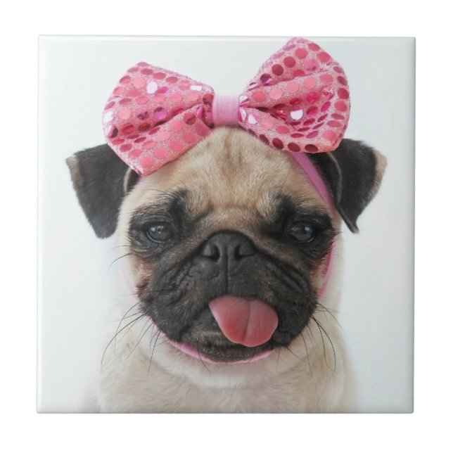Azulejo De Cerâmica Pug com Arco rosa (Frente)