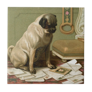 Azulejo De Cerâmica Pug com o cargo