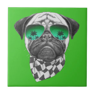 Azulejo De Cerâmica Pug de Miami