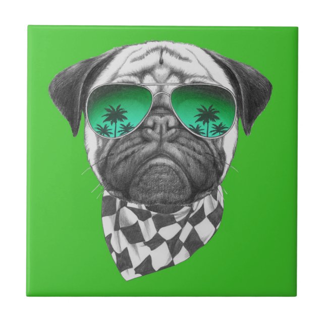 Azulejo De Cerâmica Pug de Miami (Frente)