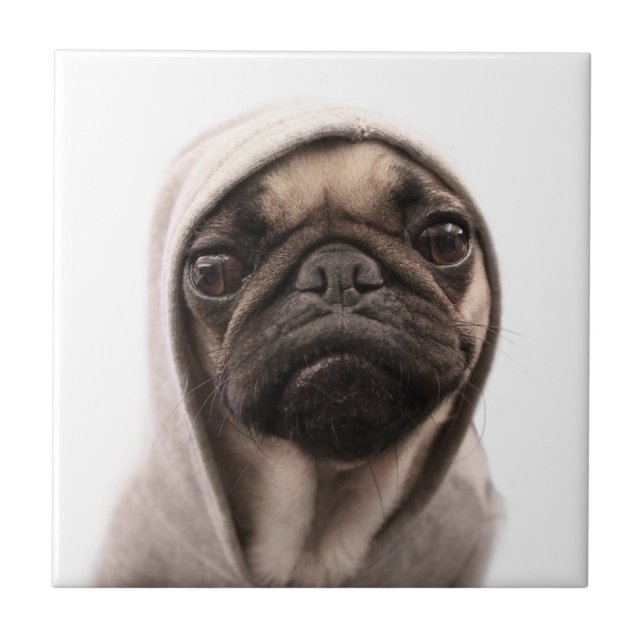 Azulejo De Cerâmica Pug em um Hoodie (Frente)