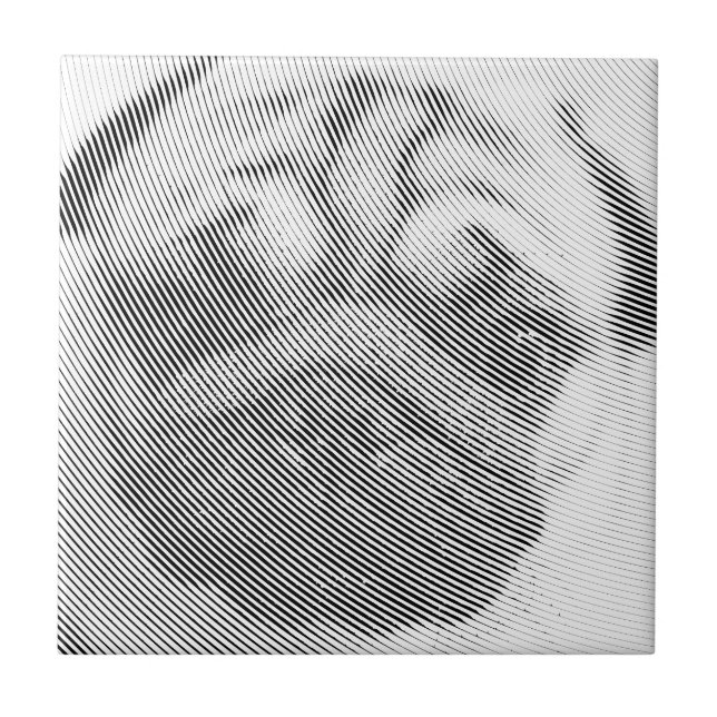 Azulejo De Cerâmica Pug Face (Frente)