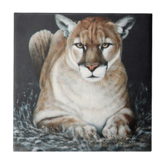 Azulejo De Cerâmica Puma de agachamento