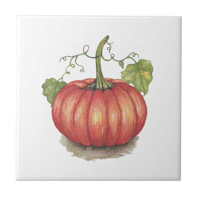 Azulejo De Cerâmica Pumpkin Bonito Com Vinhas Em Aquarela (Frente)