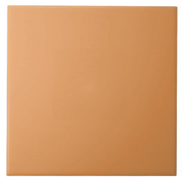 Azulejo De Cerâmica Pumpkin Spice Color | #E69855